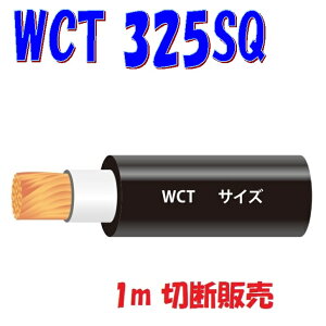 WCTy325SQznڋ@pSLu^CP[uy1m ؒf̔zA[Nnڋ@2P[u