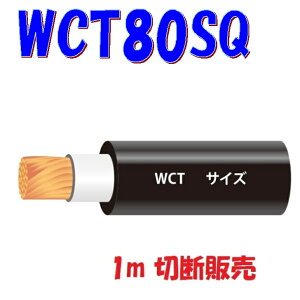 WCTy80SQznڋ@pSLu^CP[uy1m ؒf̔zA[Nnڋ@2P[u