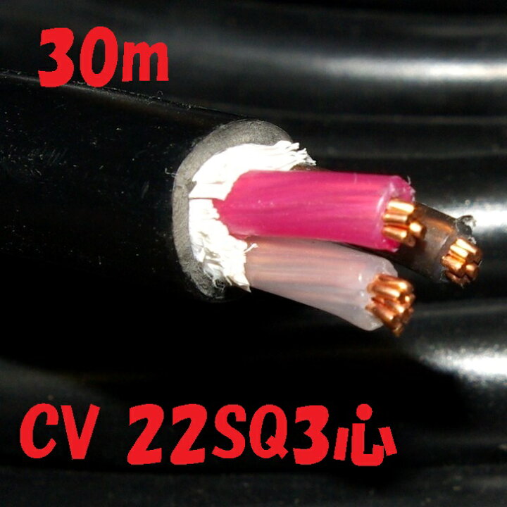 楽天市場】CV22SQ 3心【30m 巻】600V 架橋ポリエチレン絶縁ビニル被覆 