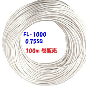 100m ̔ udd AC1000Vψ zɎgpudprjd (Fluorescent Lamp)