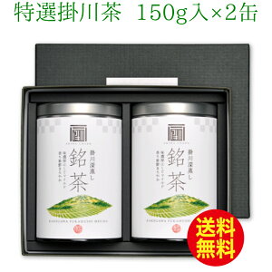 【特選掛川茶150g缶×2本】 お茶 ギフト 贈答 箱入り 高級 緑茶 茶葉 煎茶 深蒸し茶 日本茶 健康茶 静岡茶 掛川茶