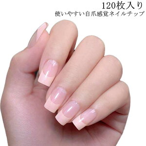 V[g ig J[lC 120 Vv fC[ l i v`v ݃sN PF Vv JԂg\邾ȒP֗ V[g nhCh l