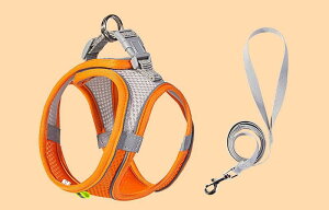  [ht Ln[lX bV [hn[lX Ȃ  n[lX Pݖh~ U L̓ т Lp ^ ^ qL U EFAn[lX