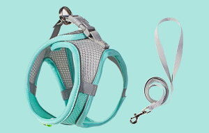  [ht Ln[lX bV [hn[lX Ȃ  n[lX Pݖh~ U L̓ т Lp ^ ^ qL U EFAn[lX