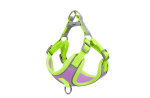 Ln[lX n[lX ybgn[lX n[lXS ^ ^ bV _ubN Ȃ U o  ȒPE