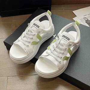 T_  fB[X Xj[J[T_ X|[cT_ r[`T_ T_  RtH[g ₷ r