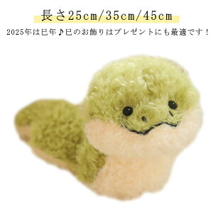 wr u 25cm/35cm/45cm   N ւ wr̂ ʂ 2025N Ĝʂ _炩   N   ʂ 킢 VN u N 