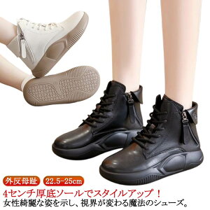 ꂷۂ RtH[gV[Y Xb| tH Xb| fB[X Xj[J[  Xb| O V[Y fB[X  ₷ V[Y Xb| V[