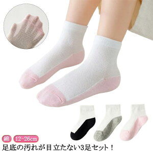 XN[C XN[ n p_ 13cm Rbg j 3Zbg N[ q  C \bNX Zbg  bV XN[  WjA 20cm w c  12cm LbY 14cm 15cm 16cm 17cm 