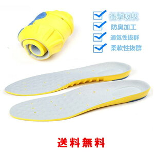 yz C\[ Ռz / ~  TCY EH[LO d fB[X Y j/Kp TCY\