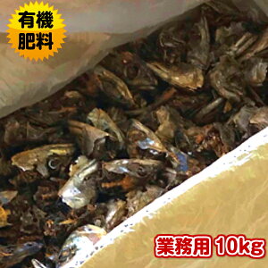 yƖpzyL@엿zy엿zyzΓEK10kg ySYzł͂܂B