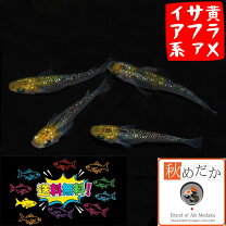 楽天市場】オーロラ 黄 ラメの通販