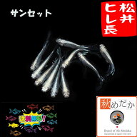 松井ヒレ長 サンセット 6匹3ペア （ML~Lサイズ) メダカ ヒレ長 成魚 観賞魚 生体 めだか 淡水魚