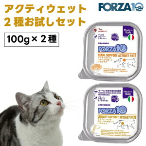 Forza10 ANeBEFbg 2Zbg i[ Ei[ t A T|[g Lbgt[h L a  ×{H tHc@10