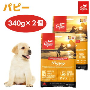 ORIJIN IW ps[ 340g x2hbOt[h  e q a Y OCt[ ۑܕsgp H Ji_Y