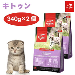 ORIJIN IW LgD 340g x2 Lbgt[h L qL eL a Y OCt[ ۑܕsgp H Ji_Y
