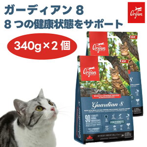 ORIJIN IW K[fBA8 340gx2 Lbgt[h L a 튯 畆 S ֐ ؓ Ɖu ]@\  Y OCt[ ۑܕsgp H Ji_Y