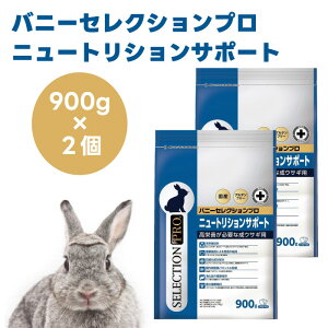 yX[p[VjA j[Aizoj[ZNVv j[gVT|[g Oet[ 900g x2 `V[  VjA q J[ @ێ RGUCQ10 쑐