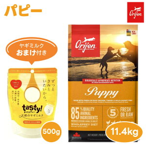 y6000~M~N܂tzORIJIN IW ps[ 11.34kg hbOt[h  e q a Y OCt[ ۑܕsgp H Ji_Y