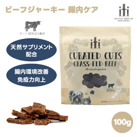 【当店限定P10倍対象】スリーイレブン iti イティ トリーツ おやつ 腸内ケア ビーフ 100g 1袋 犬 餌 ヘルスケア 小型犬 無添加 グレインフリー 穀物不使用