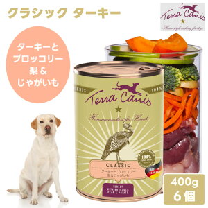 Terra Canis eJjX NVbN ^[L[ ^[L[ƃubR[ &Ⴊ400g yx6z hbOt[h ʋl EFbgt[h Rv[gH OCt[ Oet[