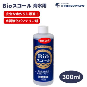 xebNWp oCIXR[ BioXR[ Cp 300ml  oNeA  グ ւ ߑ |