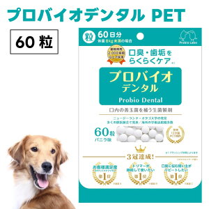 v~A[h voCIf^ ybg 60  L oj ܃^Cv oPA L C voCIeBNX