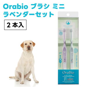 OraBio I[oCIuV MINI 2{ x_[Zbg Ȗ_TCY  L uV ̎ȉqmJ f^PA