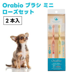 OraBio I[oCIuV MINI 2{ [YZbg Ȗ_TCY  L uV ̎ȉqmJ f^PA