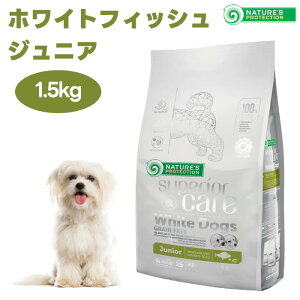 lC`[YveNV zCghbO OCt[ zCgtBbV WjA 1.5kg  e ܏Ă hbOt[h