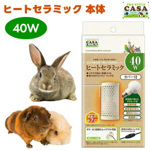 }J CASA q[gZ~bN 40W ԊO 퐻 ۉ  nX^[ nlY~   ঒