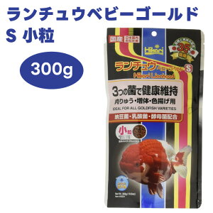 L[ hikari Ђ `Exr[S[h S   300g 񂿂イ I_  a t[h