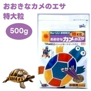 L[ Ђ hikari ȃJ̃GT 嗱 500g T t[h