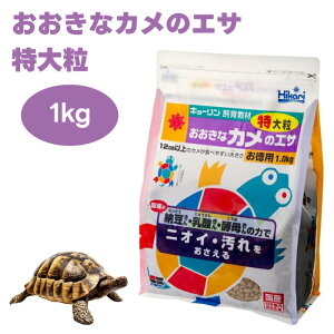 L[ Ђ hikari ȃJ̃GT 嗱 1kg T t[h