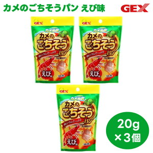 WFbNX y3Zbgz JC Ĵp і 20g×3 Zbgiʏzj