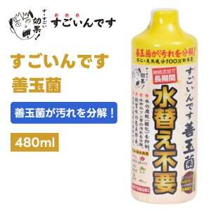 H| RguL RguLH| ł Pʋ 480ml  ANAE s _ } t    L L