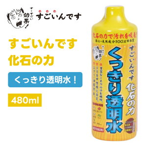 H| RguL RguLH| ł ΂̗ 480ml  グ  ANAE  ߑ |
