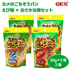 GEX WFbNX JC Ĵp Ȗ і 20g y2x2Zbgz