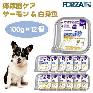 Forza10 ANeBEFbg Ei[T|[g APA T[&nC̔g pe^Cv 100gx12  hbOt[h a ×{H AH tHc@10