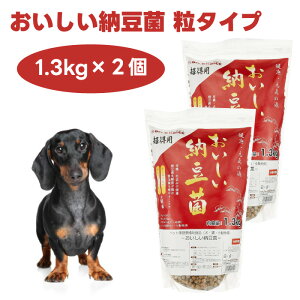 hN^[Y`CX [ ^Cv 1.3kgx2  L  L ܏Ă AL tL