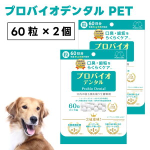 v~A[h voCIf^ ybg 60x2  L oj ܃^Cv oPA L C voCIeBNX