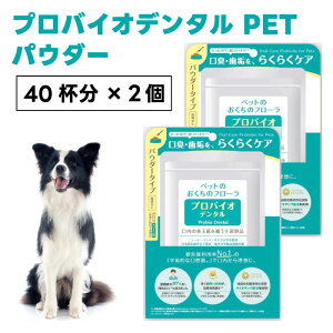 v~A[h voCIf^ ybg pE_[ 40tx2 Ȃ  L ^Cv oPA L C voCIeBNX