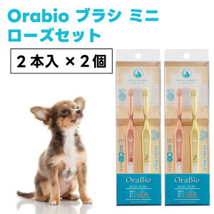 OraBio I[oCIuV MINI 2{ [YZbgx2 Ȗ_TCY  L uV ̎ȉqmJ f^PA