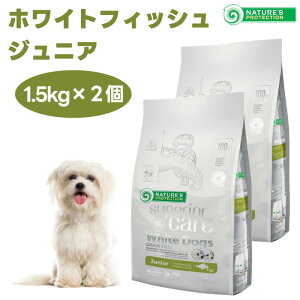 lC`[YveNV zCghbO OCt[ zCgtBbV WjA 1.5kgx2  e ܏Ă hbOt[h