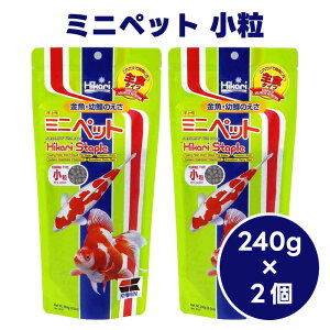 L[ hikari Ђ ~jybg 㐫 240gx2  c a t[h