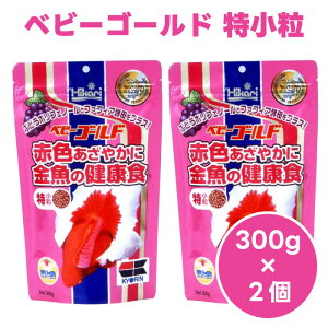 L[ hikari Ђ xr[S[h  㐫 300gx2  t[h a