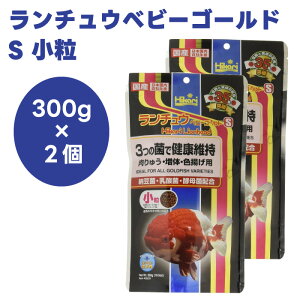 L[ hikari Ђ `Exr[S[h S   300gx2 񂿂イ I_  a t[h