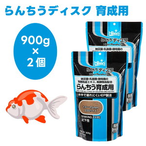 L[ hikari Ђ 񂿂fBXN 琬p  900gx2  񂿂イ a t[h