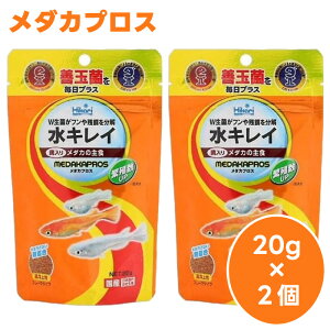 L[ hikari Ђ _JvX _J̎H Y 20gx2 㐫 t[N^Cv _J a t[h