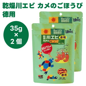 L[ hikari Ђ Gr Ĵق p 35gx2 T a t[h 狳